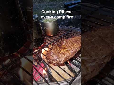 cooking Ribeye steak over a camp fire #bushcraft #ribeyesteak #cookingoverfire