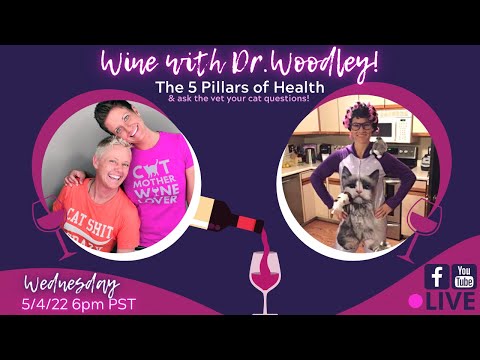 Wine with Dr. Woodley | Two Crazy Cat Ladies