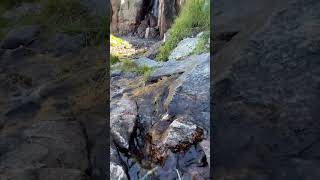 Rocky Mountain Falls | Hike to Sky Pond | Elevation 10,900 Ft.