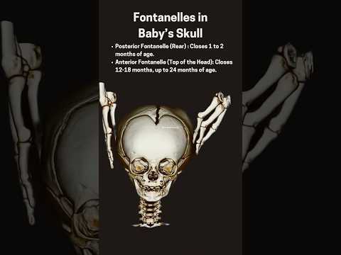 CT Scan of Soft Spot on Baby's Skull (Fontanelles) #interesting #science #pregnancy