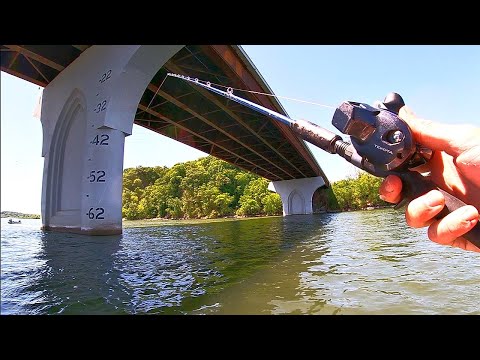 The Fish Were Stacked Under This Bridge!!