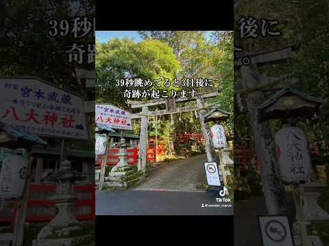 ⛩️３９秒眺めてると3日後に奇跡が起こります。