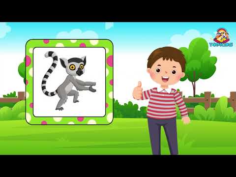 Learn animals fast: Kids expert edition