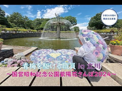 青梅を駆ける職員in立川～国営昭和記念公園紫陽花さんぽ２０２４～