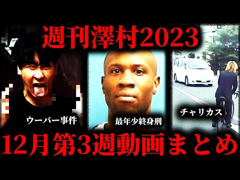 【週刊澤村2023】12月第3週たっくー動画まとめ【たっくー切り抜き】