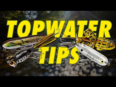 Catch Big BASS with These 4 Irresistible Topwater Lures! (Crazy Blowups!)