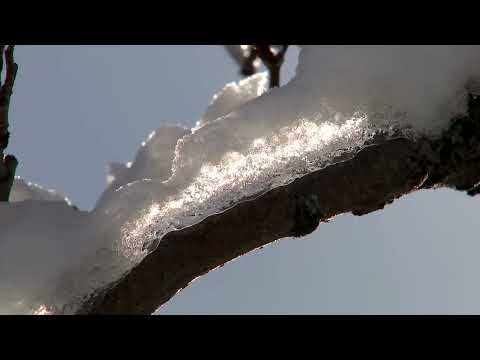 Milwaukee PBS Presents | Inspirational Moments | An Autumn Snow