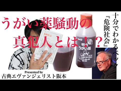 イ○ジンを消したのは誰だ！？10分でわかるベック『危険社会』