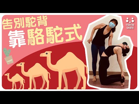 【YogaShare】告別駝背 靠🐪駱駝式🐫