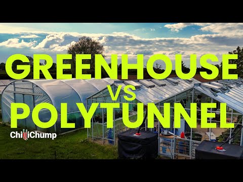 Greenhouse vs Polytunnel: Which One Should You Choose?