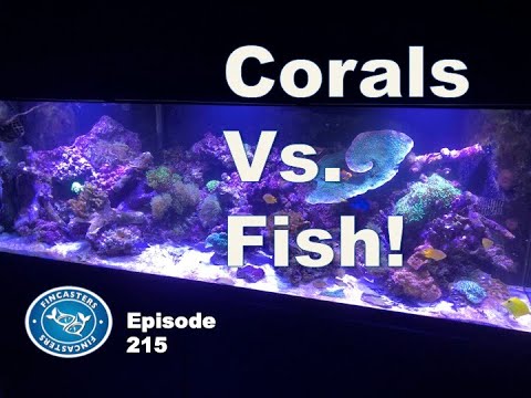 Reef makeover! Episode 215  Making room for more corals.  Sorry fish.