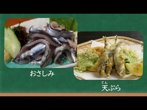 「ひろしま給食推進プロジェクト」食育教材動画　「ひろしま給食_小いわし」