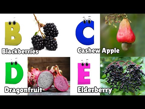 Fruit ABC Song for Children | Phonics for Kids | Learn English Alphabet Letters