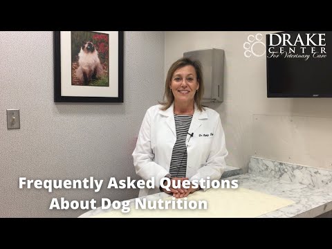 Frequently Asked Questions About Dog Nutrition