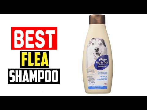 ✅Top 5 Best Flea Shampoo For Dogs in 2024