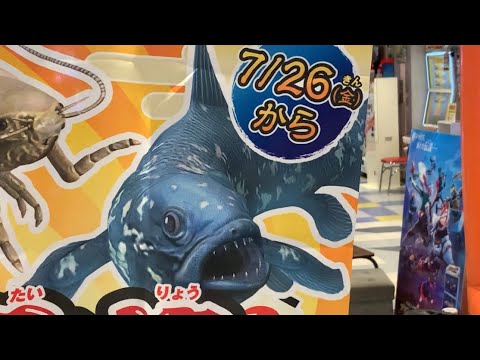 シーラカンス釣りに行こう！！釣りスピリッツシンカー