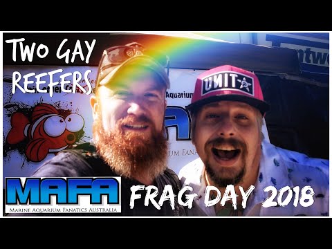 MAFA Frag Day 2018