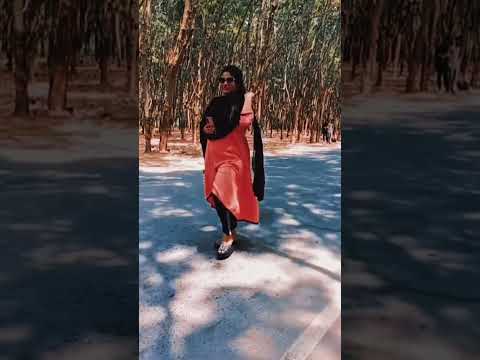 সেল্ফি রোড, ফটিকছড়ি || Selfie Road, Fatikchori...