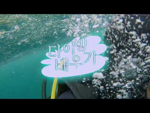 다음 브이로그 시리즈 [권운 제주 다이빙 VLOG]