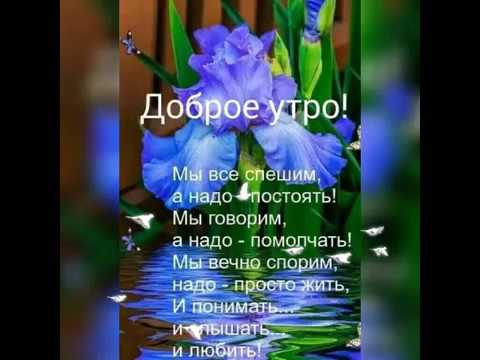 Доброе утро🌺☀️🌺