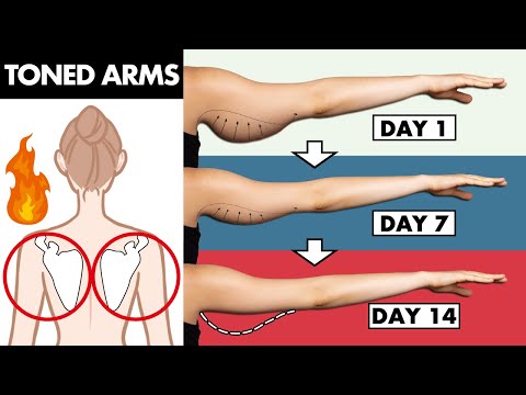 Toned Arms Standing Workout | 8 min Beginner Friendly | No Equipment (Subtitle)