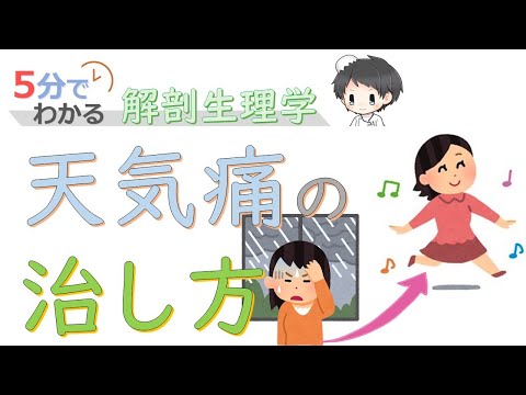 天気痛の治し方【5分でわかる解剖生理学】