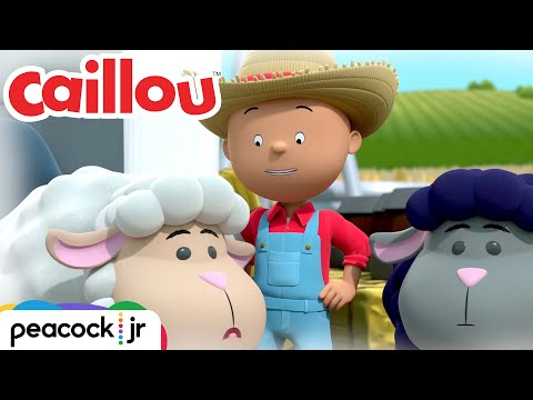 Caillou Loves His FLUFFY FRIENDS! 🐑 | CAILLOU