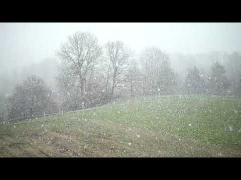 Snowing in the Country | Copyright Free Video Footage