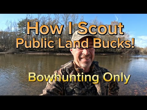 How I Scout Public Land Bucks For Bowhunting Success! “Think Like A Deer”