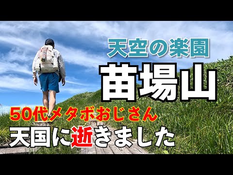 【日帰り登山】53歳メタボおじさんが登山初心者におすすめする百名山苗場山で「天空の楽園」に行ってみた