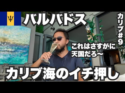 バルバドス34歳ひとり旅🇧🇧行ってビビったカリブ海の天国。【カリブ#9】2023年11月30日〜12月3日