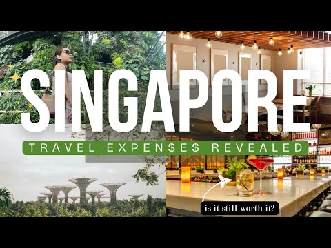 How Much I Spent on My Trip to SINGAPORE 🇸🇬 | Budget Breakdown 2024 💸