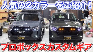 【プロボックス】車中泊にオススメのプロボックスカスタムギア！人気の外装カラー2台をご紹介！