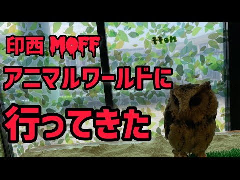 印西・MOFFアニマルワールドに行ってきた!!