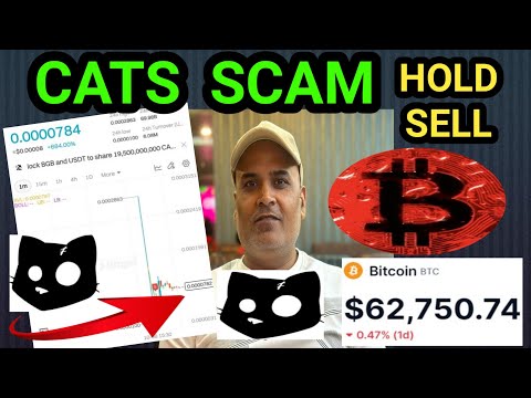 CATS  SCAM $0.0000...?  HOLD & SELL || Bitcoin Next Movement || Telegram BOT Mining SCAM