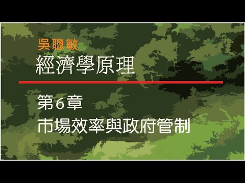 經濟學_吳聰敏_第6章_市場效率與政府管制