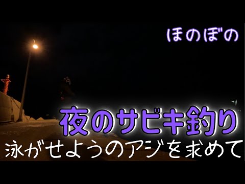 夜の堤防でのんびりサビキ釣り