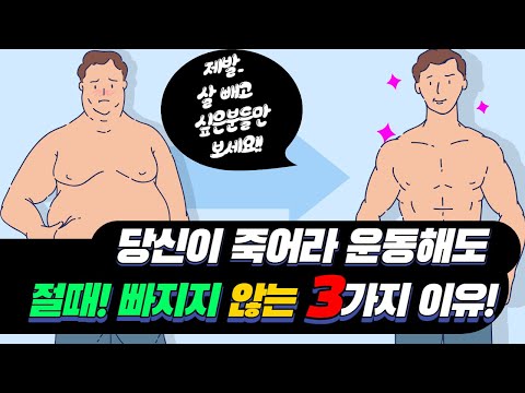 올바른 다이어트를 위한 지침서│내 몸 사용 설명서│운동으로 절대 살이 안빠지는 결정적인 3가지!!