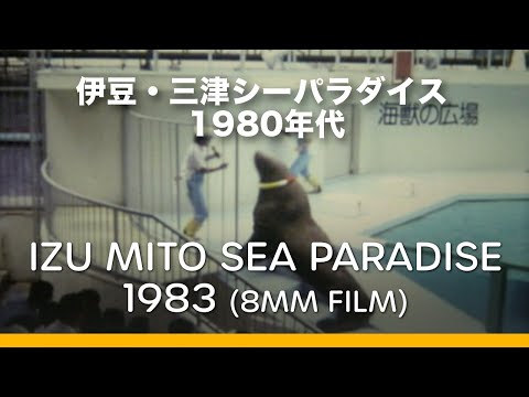 Izu Mito Sea Paradise in 1980s  |  伊豆・三津シーパラダイス 1980年代