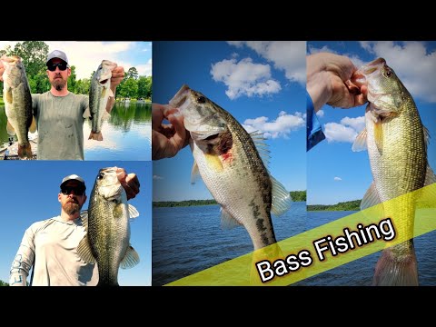 Bass Fishing South Carolina| A variety of CATCHES with different RIGS #fishing #explore #outdoors