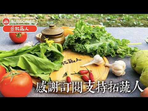 素食料理頻道 拓蔬人  感謝大家的支持 頻道終於有了1000人以上的訂閱！