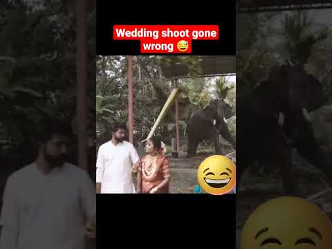 Wedding shoot Alaparaikal | Funny #wedding #trending #weddingphotography #couplegoals #funny #jokes