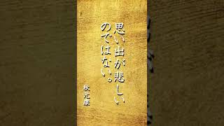 【motivation_powerwords】パワーワード 心に響く言葉達 名言 #shorts