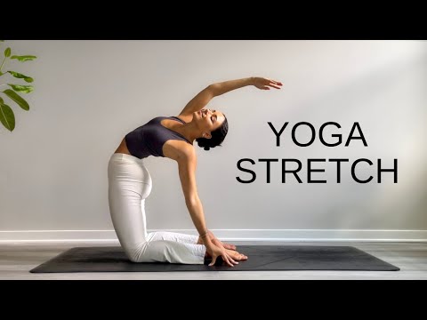 15 Minute Yoga Stretch Break | Open Your Body & Feel Amazing!