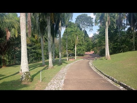 Slideshow: Putrajaya Botanical Garden (Taman Botani Putrajaya)