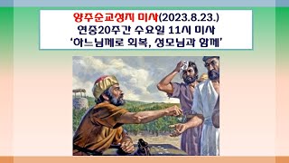 양주순교성지 미사(연중20주간 수요일 11시 미사 2023.8.23.'하느님께로 회복, 성모님과 함께')