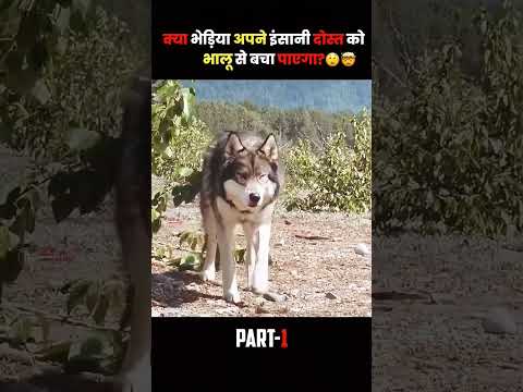 #dog #story #movie #animals #kahani #gaming #salarfact #comedy #kgfvssalaar #comedyfilm