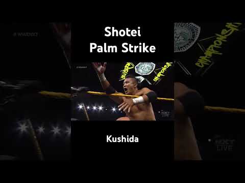 WWE: Shotei