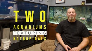 John's TWO Custom Aquariums Displays