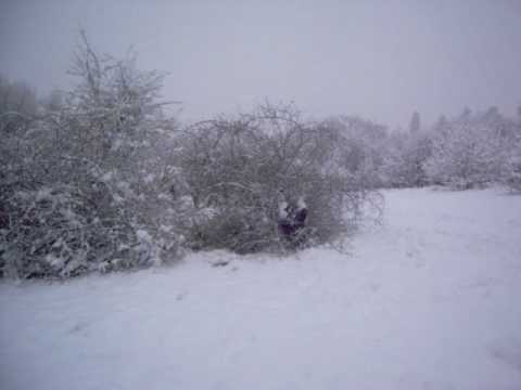 Will snow bush jumping at the Millfield